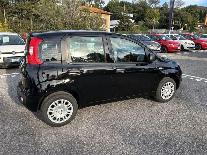 FIAT Panda New 1.0 70cv Hybrid Pop