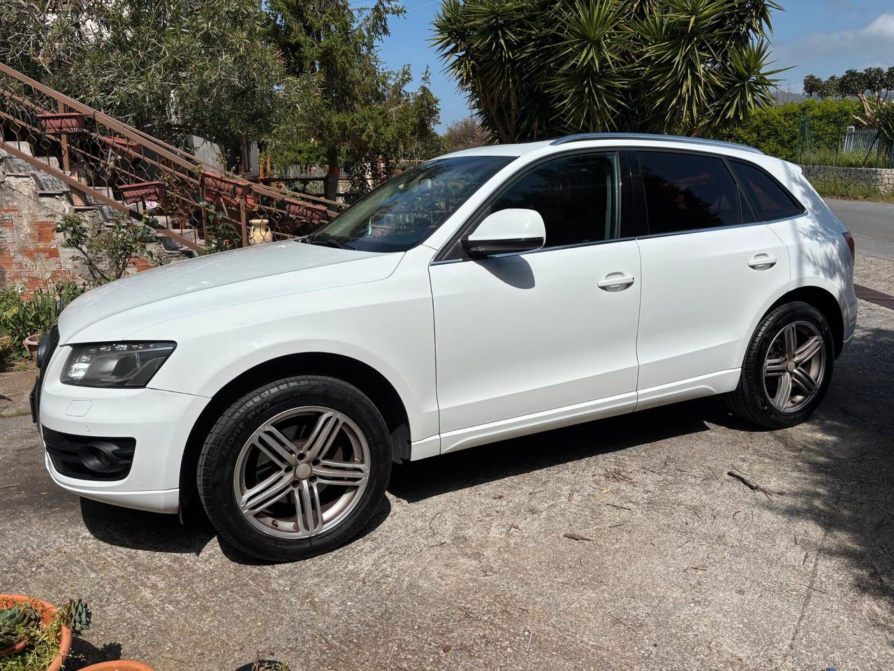 Audi Q5 2.0 TDI 143 CV quattro Advanced Plus tetto