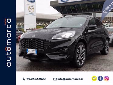 FORD Kuga 2.0 EcoBlue 190 CV aut. AWD Titanium Business del 2020