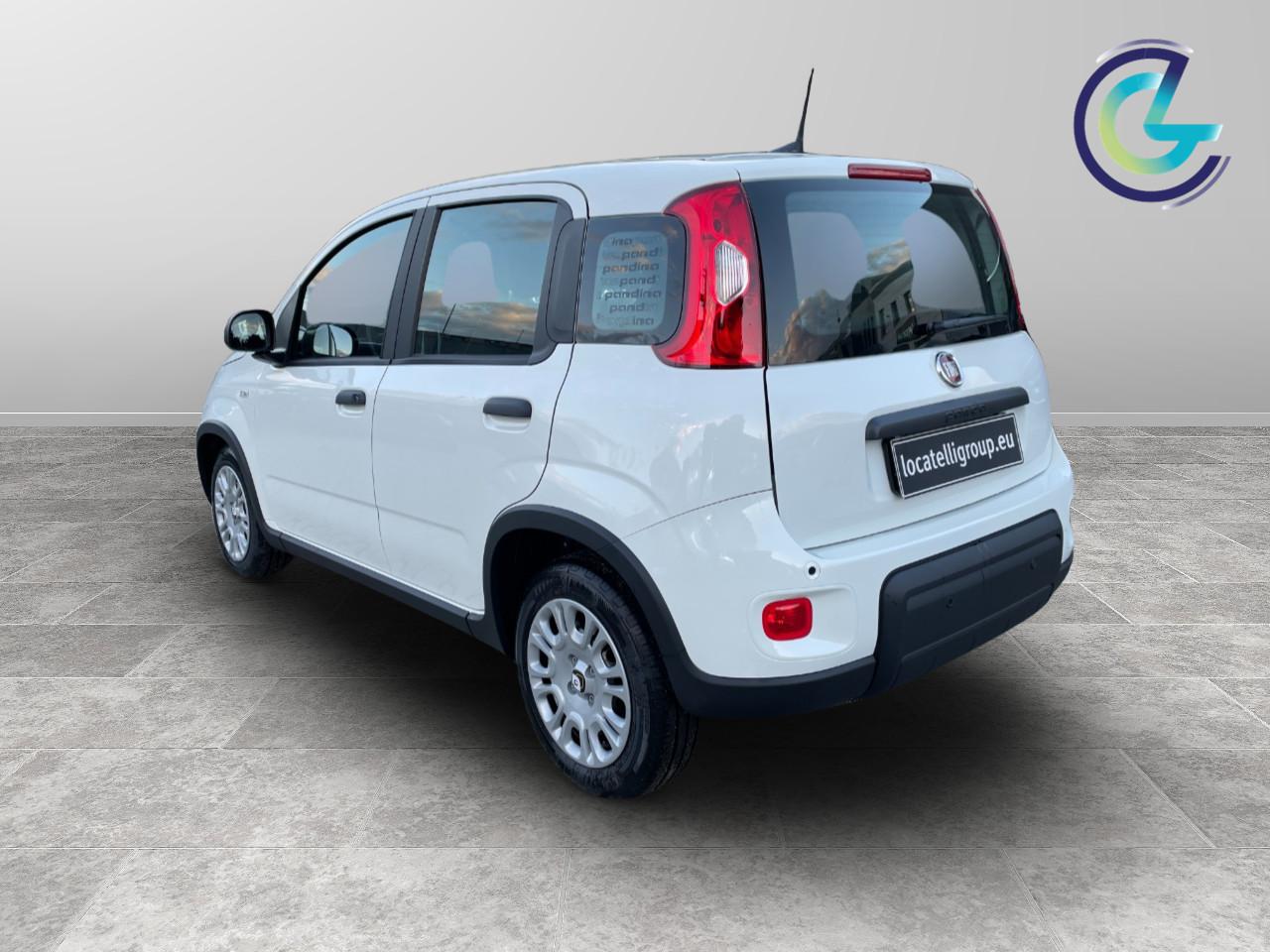 FIAT Panda III 2024 - Panda 1.0 firefly hybrid s&s 70cv