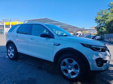 Land Rover Discovery Sport 2.0 TD4 150 CV Auto Business Ed.Premium Pure