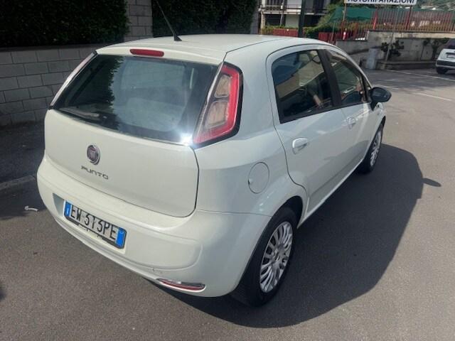 FIAT Punto 4ª serie Punto 1.2 8V 5 porte Young