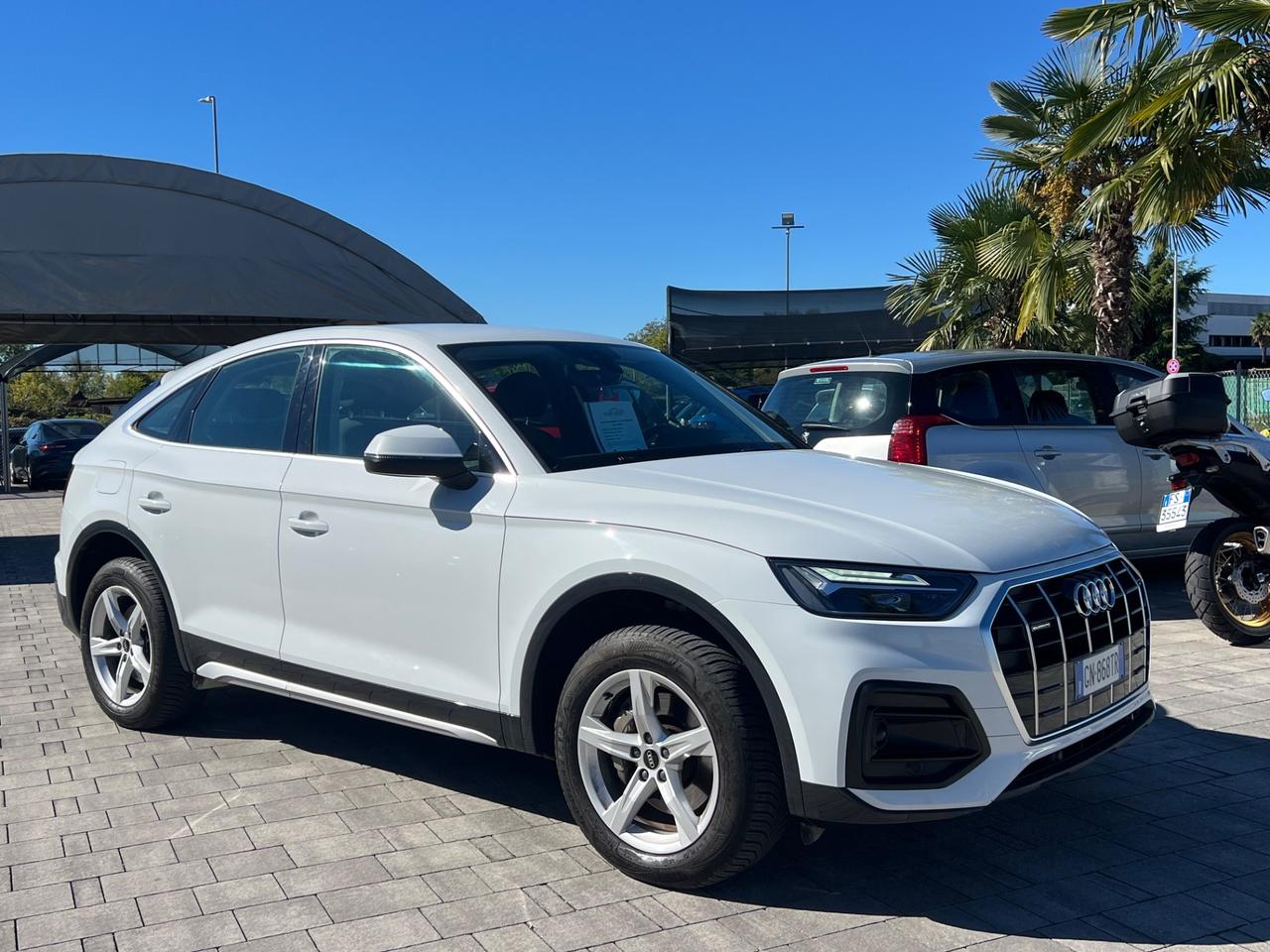 Audi Q5 SPB 35 TDI S tronic Business Advanced