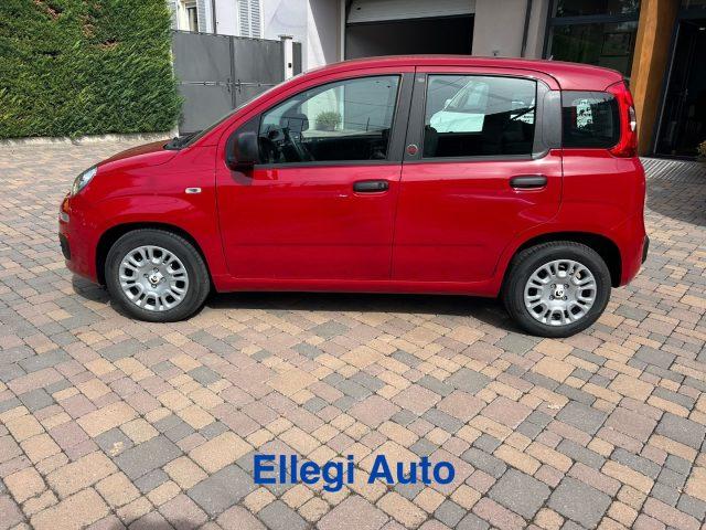 FIAT Pandina PROMO FINANZIAM 1.0 FireFly 65 CV Hybrid Pop KM 0
