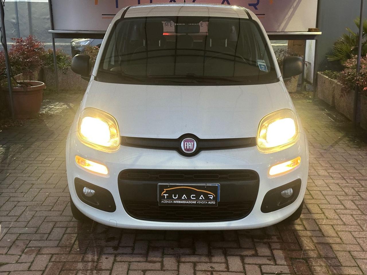 Fiat Panda Easy 1.2 #8913