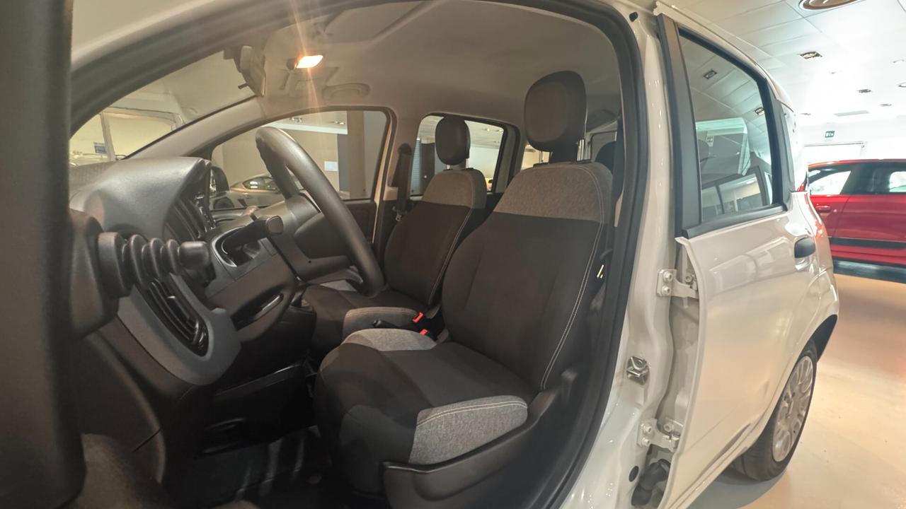 FIAT PANDA 1.0 70CV - 2022