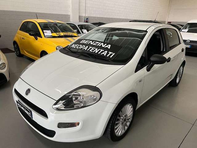 Fiat Punto 1.2 8V 5p. Young