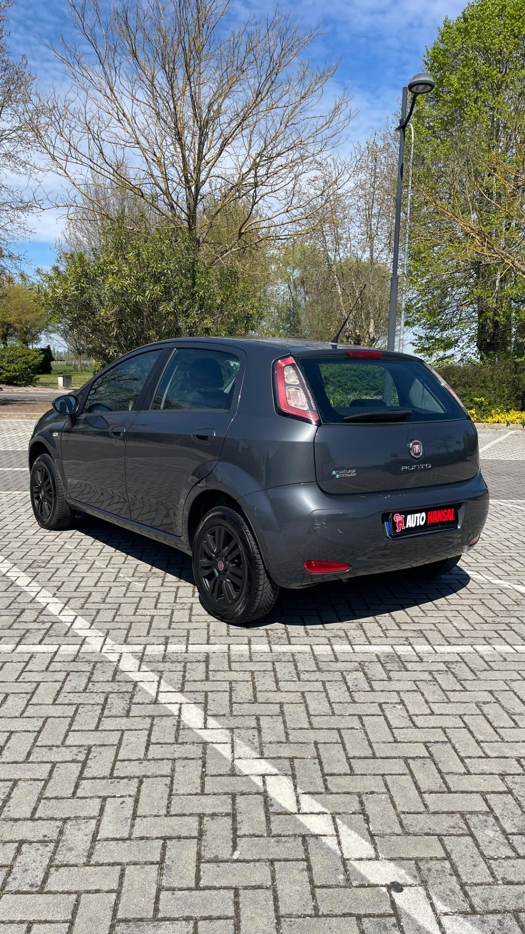 Fiat Punto 1.4 8V 5 porte Natural Power Pop