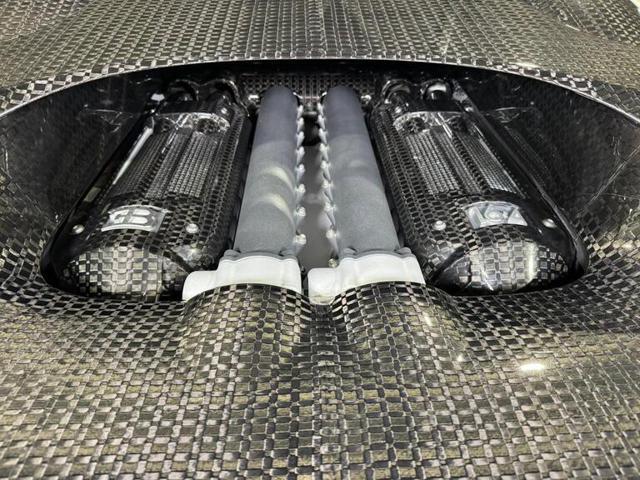 BUGATTI Veyron VEYRON 16.4 1001HP 1 of 2 LINEA VIVERE OF MANSORY
