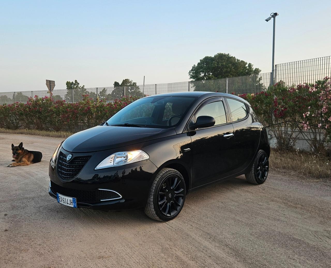 Lancia Ypsilon 1.3 MJT 16V 95 CV 5 porte S&S S Momodesign
