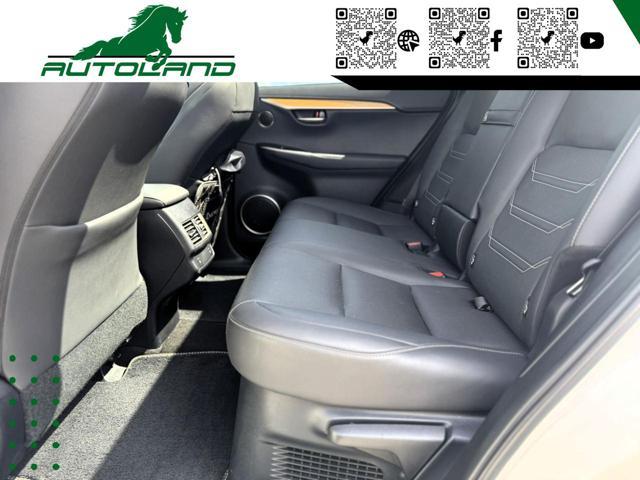 LEXUS NX 300 Hybrid 4WD Executive 155 CV