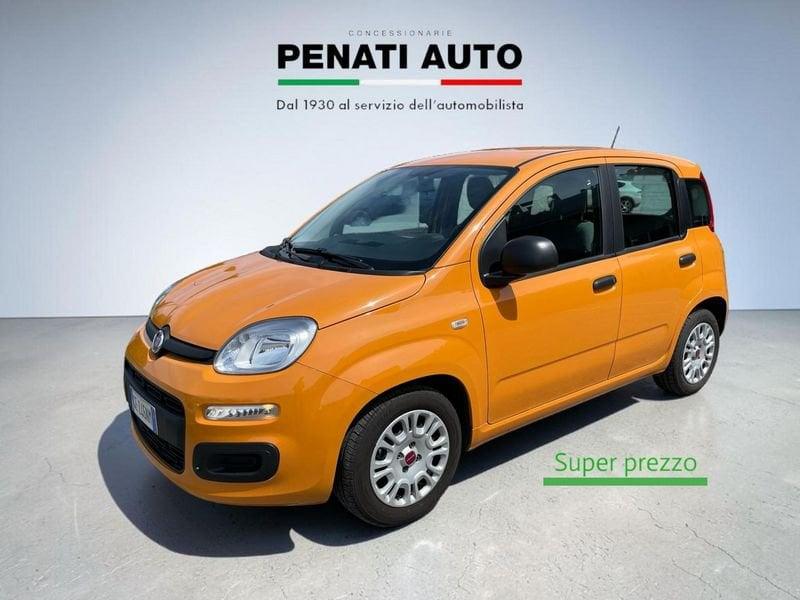 FIAT Panda 1.0 FireFly 70cv S&S Hybrid