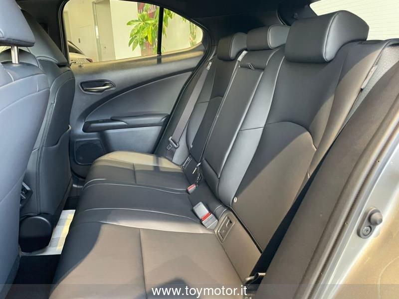 Lexus UX 300h F-Design