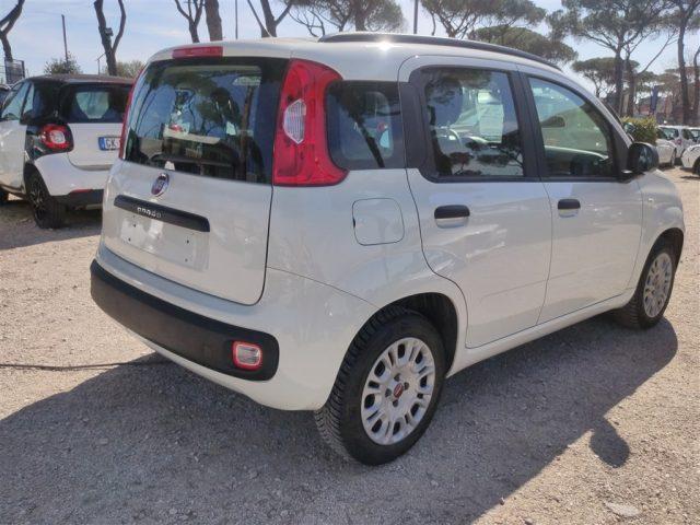 FIAT Panda 1.2 Easy 69cv CLIMA MANUALE OK NEOPATENTATI