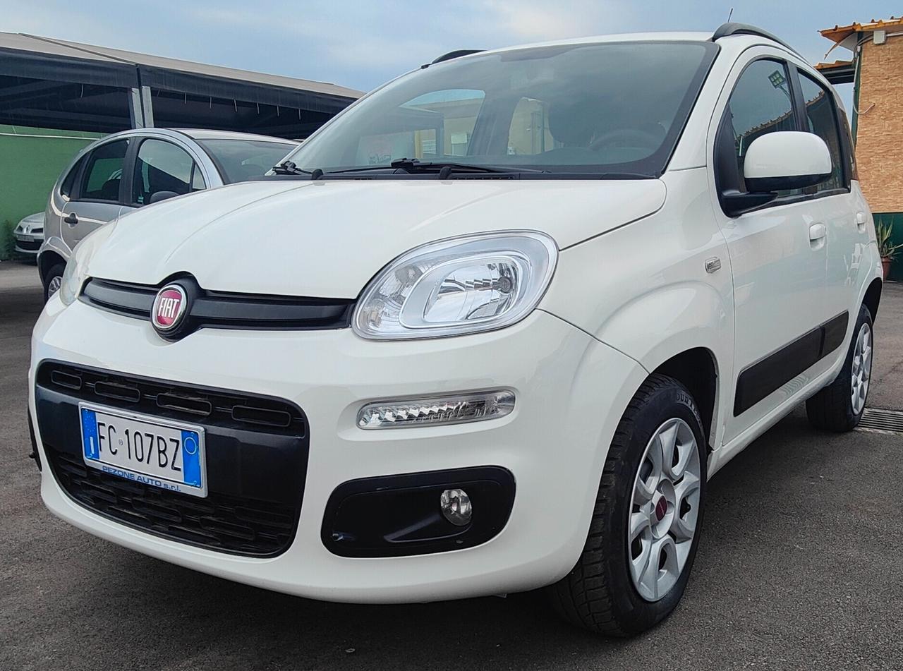 Fiat Panda 0.9 TwinAir Turbo Natural Power Pandazzurri