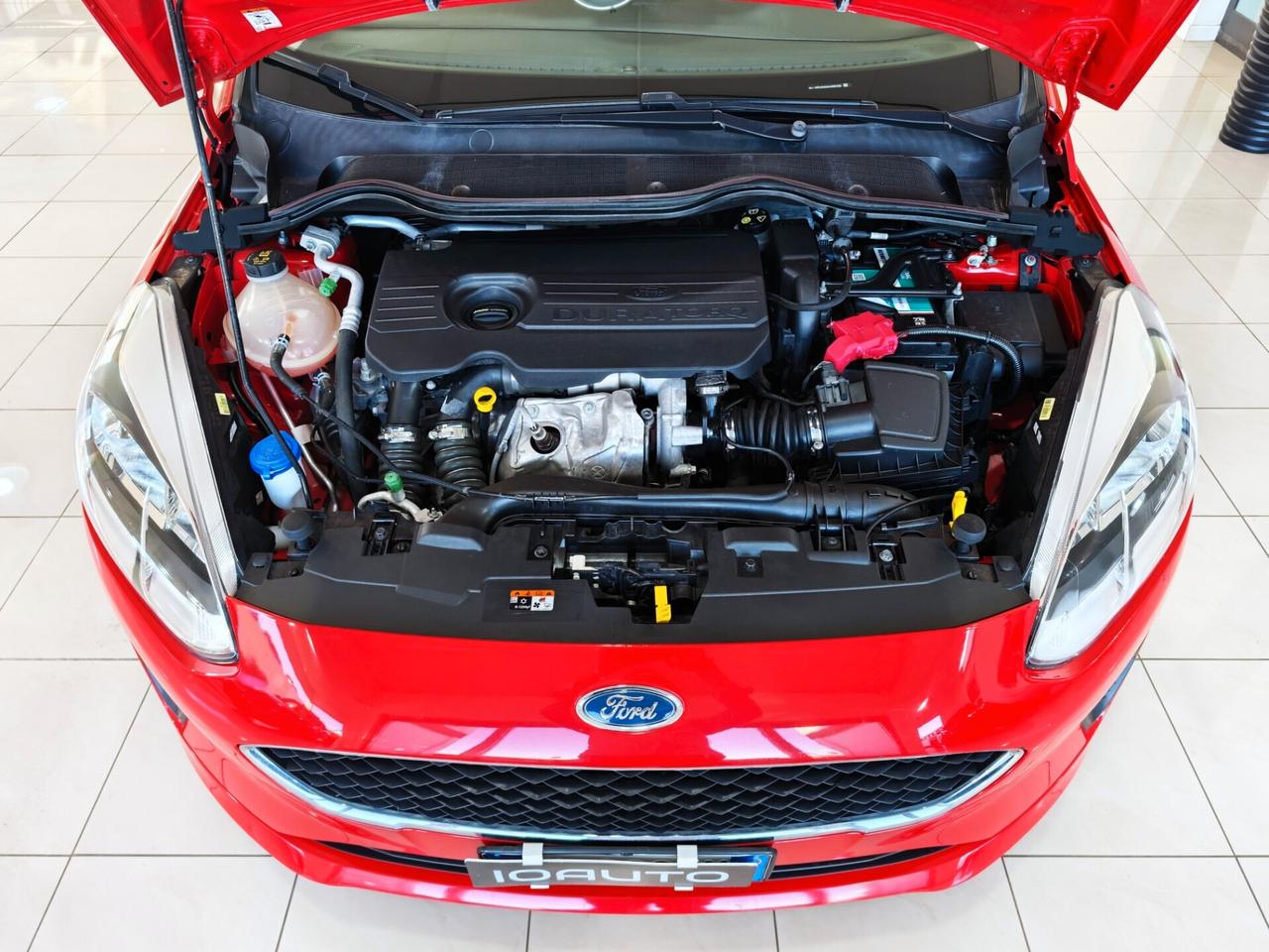 Ford Fiesta 1.5 TDCi 5 porte Plus 2017
