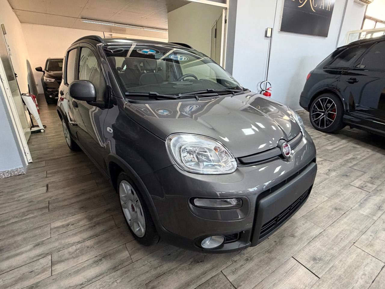 Fiat Panda 1.0 FireFly S&S Hybrid AZIENDALE KM 0 POSTI 5