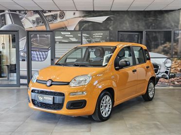 Fiat Panda 1.0 FireFly S&S Hybrid - NEOPATENTATI - IVA ESPOSTA