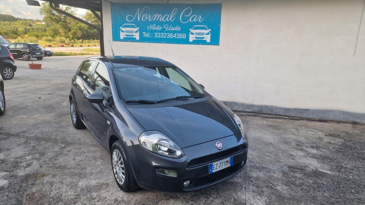 Fiat Punto 1.2 8V 5 porte Street - 2015 "ottime condiz."