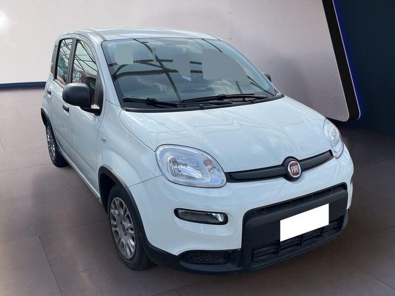 FIAT Panda My23 1.0 70cv Hybrid Panda