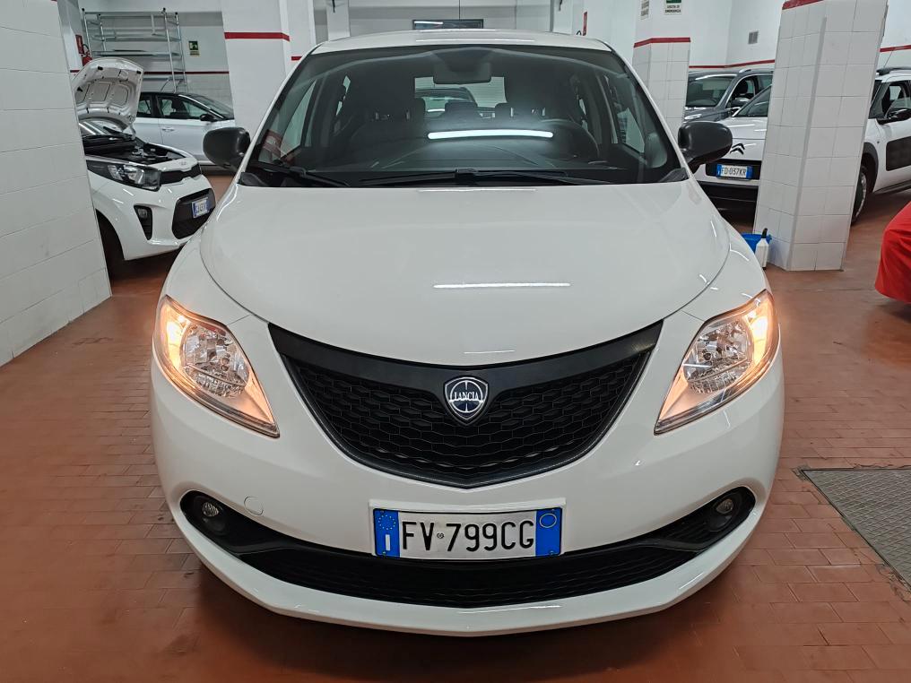 Lancia Ypsilon 5 Porte Ypsilon 1.2 Elefantino Blu s&s 69cv my19