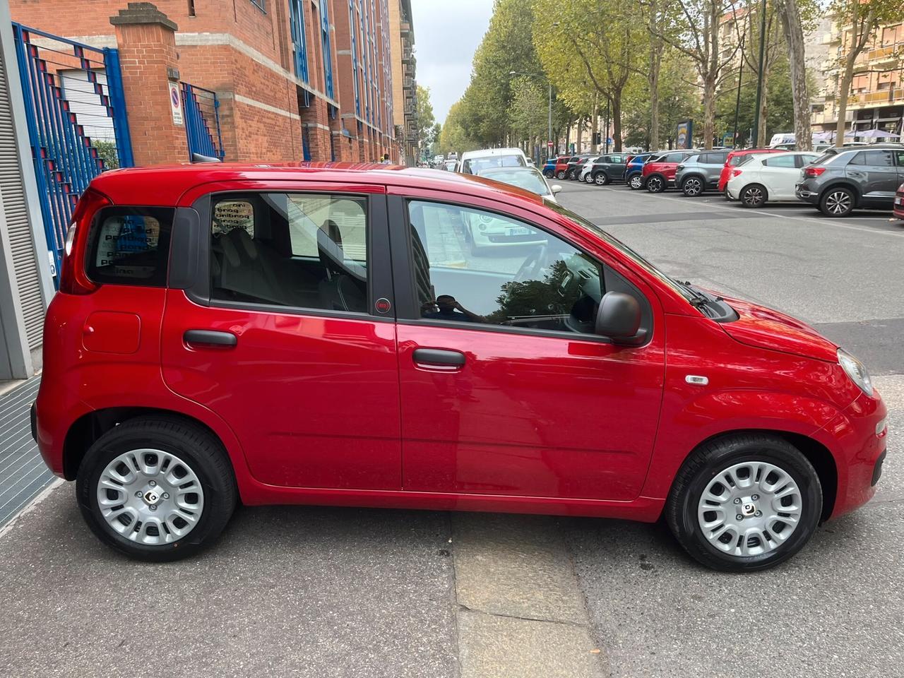 Fiat Panda 1.0 FireFly S&S Hybrid Icon