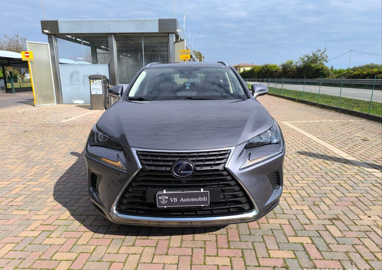 Lexus NX 300h Hybrid Business