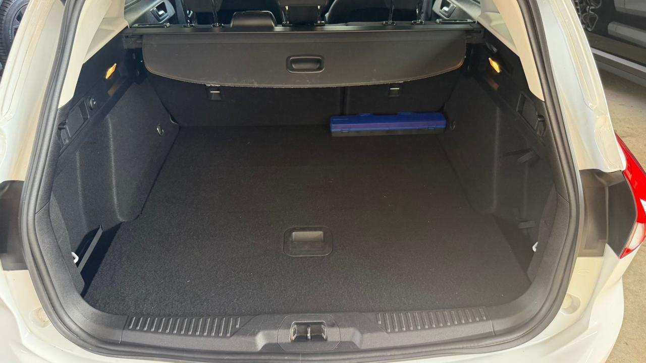 Ford Focus 1.5 EcoBlue 120 CV automatico SW Business Co-Pilot