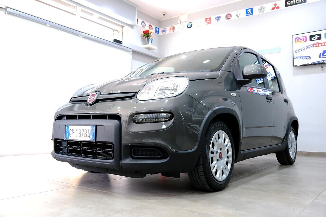 Fiat Panda Hybrid 70cv City-Life