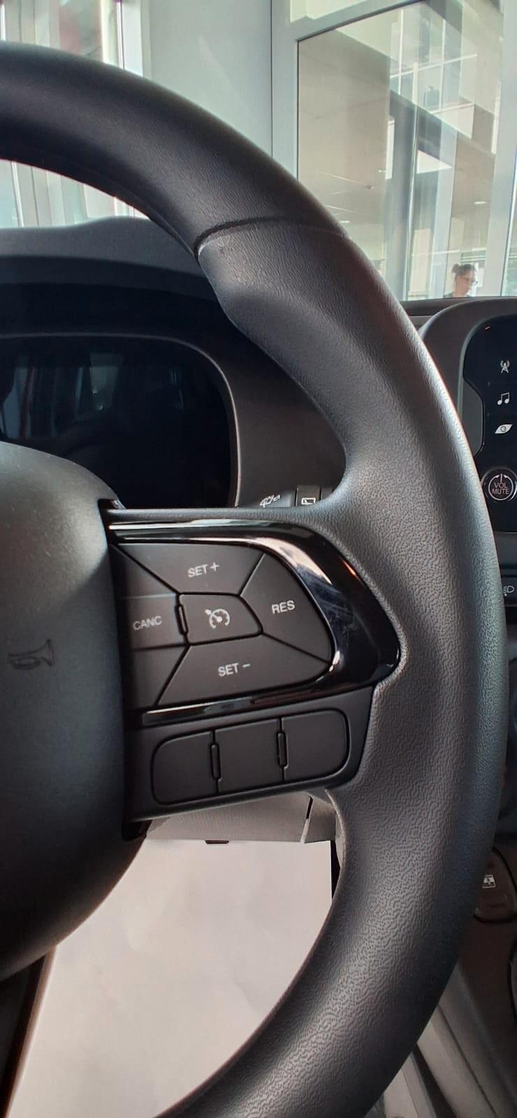 Fiat Panda 1.0 FireFly S&S Hybrid Pandina