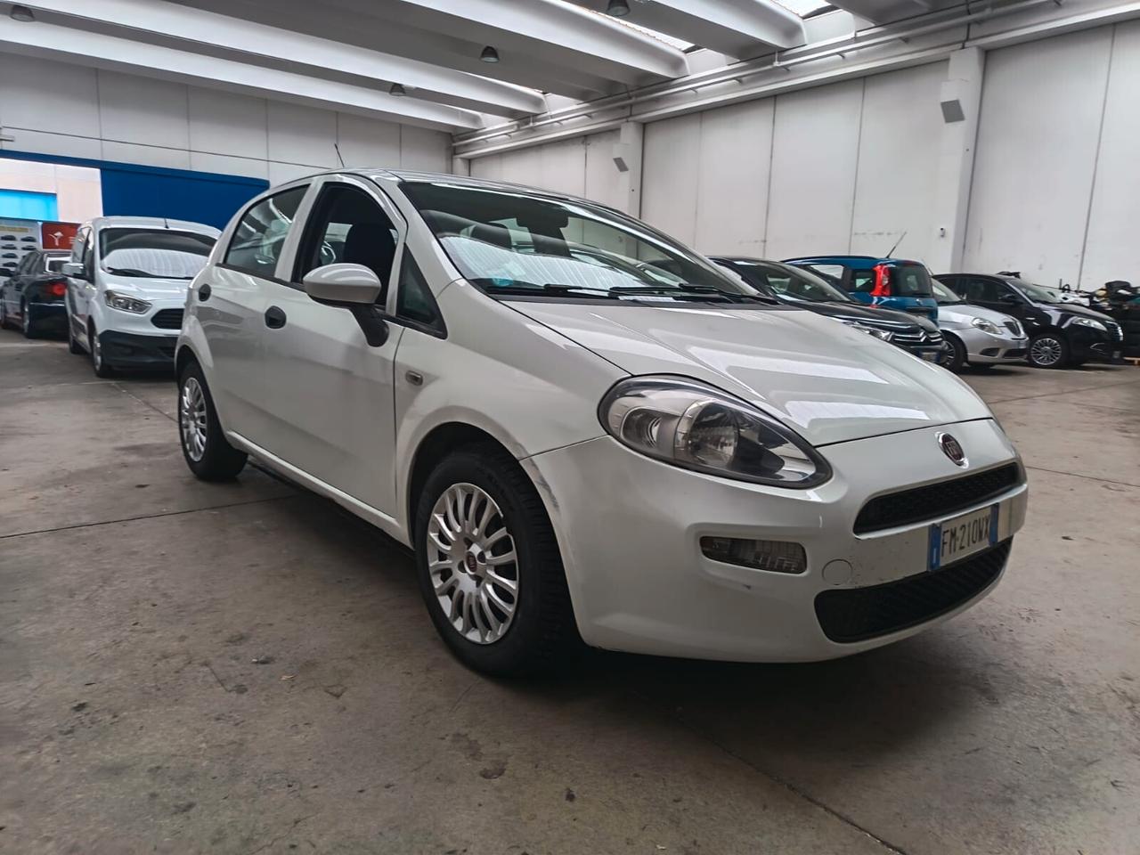 Fiat Punto 1.3 MJT II S&S 95 CV 5 porte Street