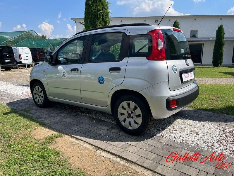 FIAT Panda 1.2 69cv Easy