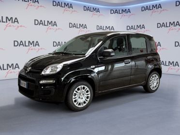 FIAT Pandina III 2024 - Pandina 1.0 firefly hybrid Pop s&s 70cv
