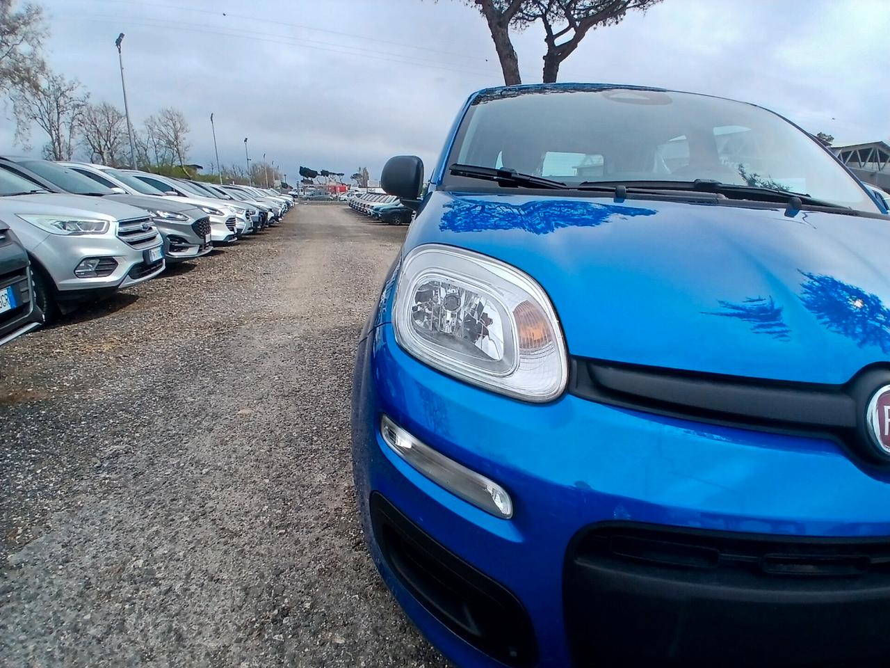 Fiat Pandina 1.0 FireFly 65 CV Hybrid Icon
