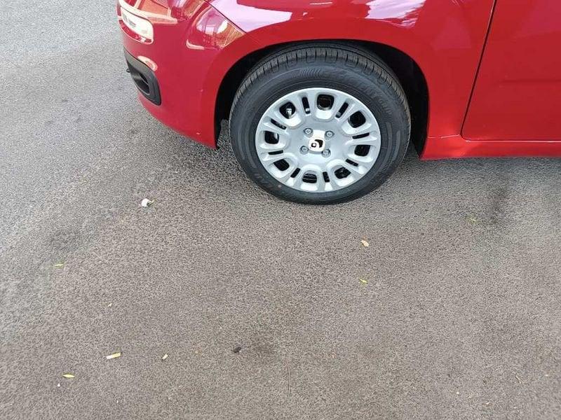 FIAT Panda 3ª serie 1.0 FireFly S&S Hybrid