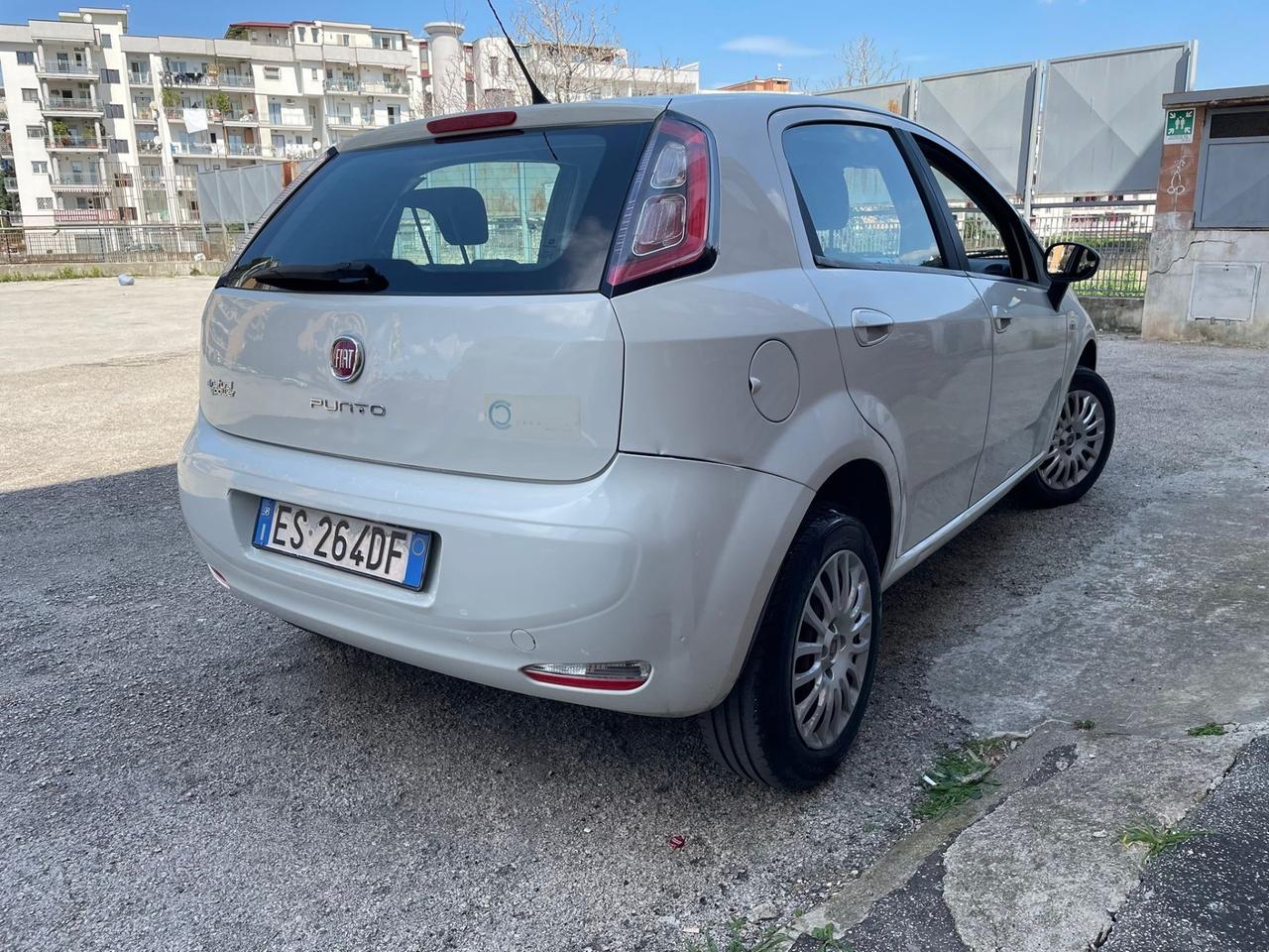 Fiat Punto Easy 1.4benz5 porte Natural Power Street Full Perfett