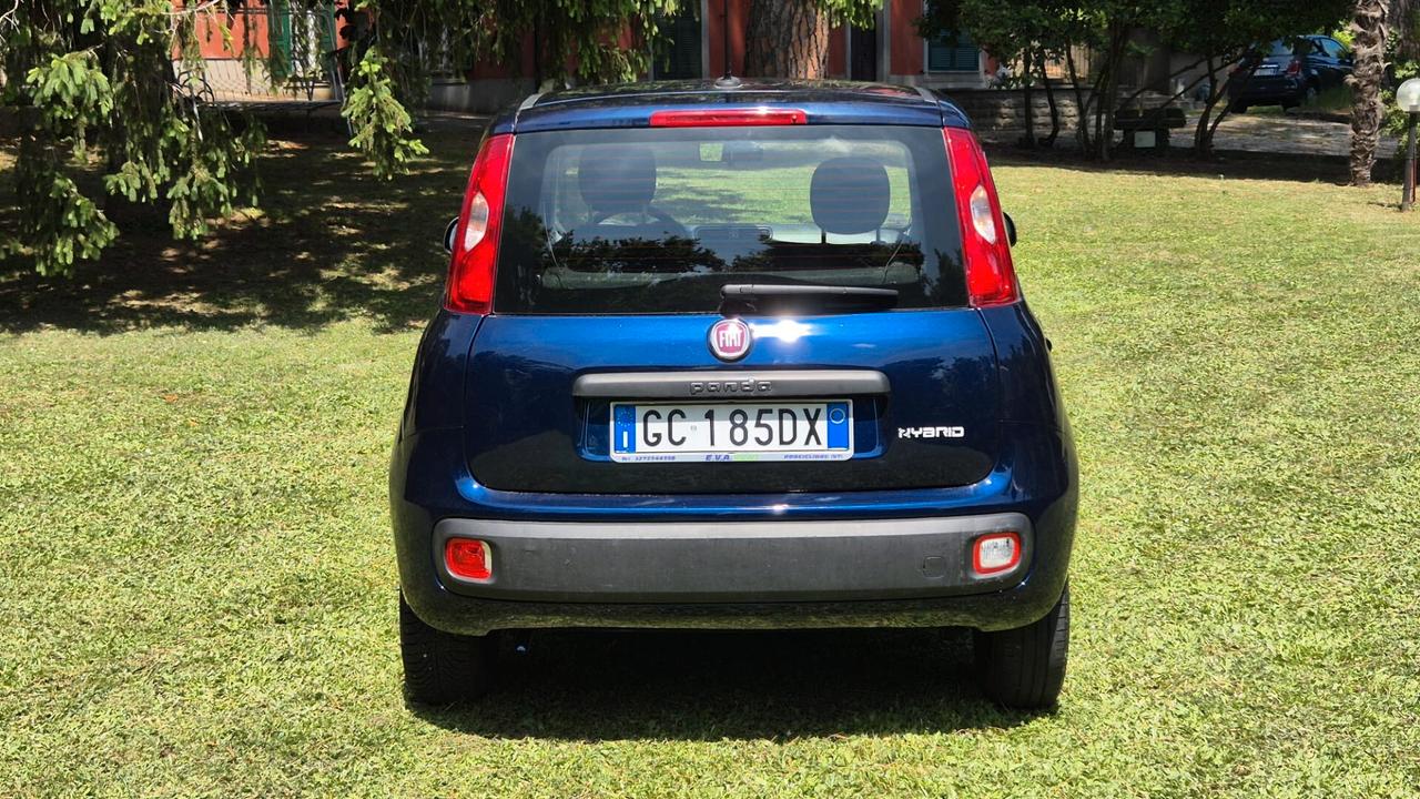Fiat Panda 1.0 S&S Hybrid 2021 PERFETTA neop LEGGI TESTO