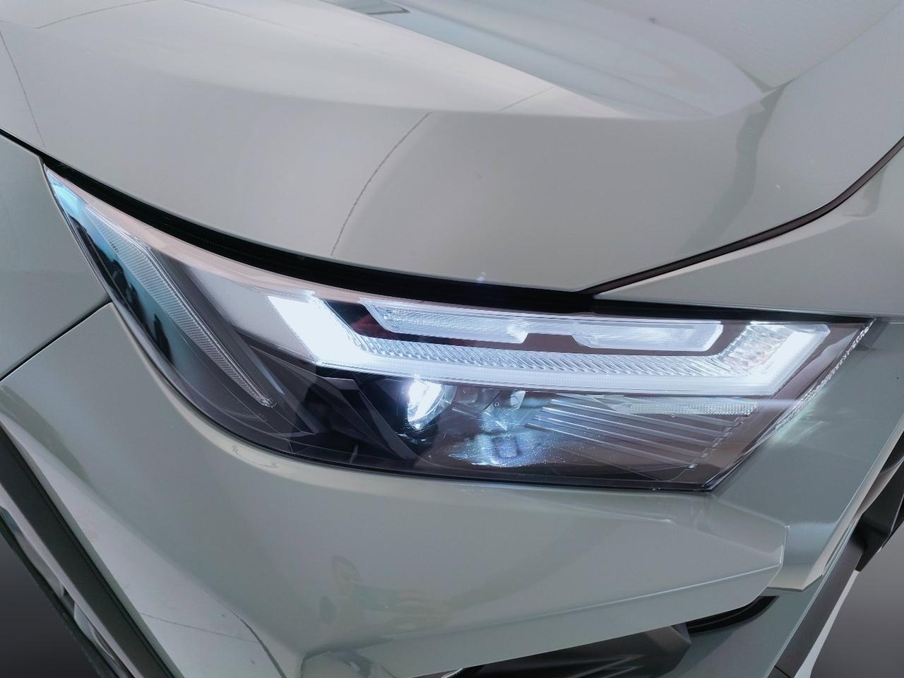 TOYOTA Rav4 V 2019 - Rav4 2.5 vvt-ie h Adventure awd-i 222cv e-cvt