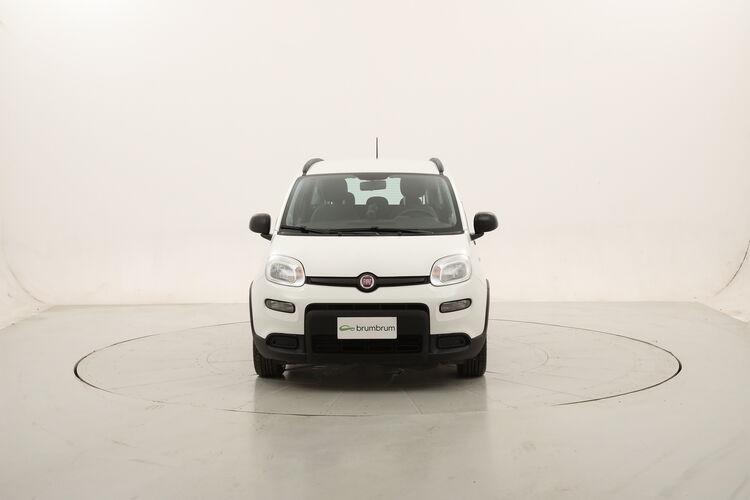 Fiat Panda Hybrid City Life BR241590 1.0 Mild Hybrid 70CV