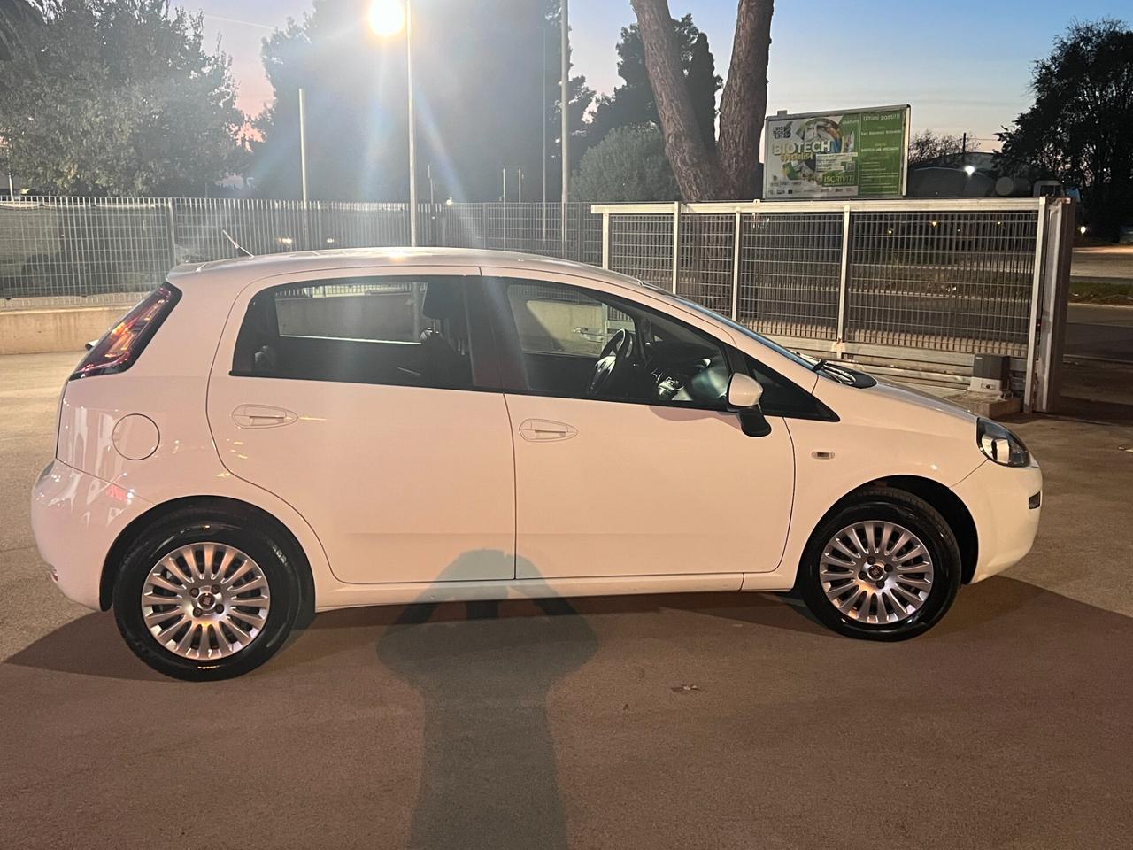 Fiat Punto 1.3MJT 75CV Lounge DISTRIBUZ.E GARANZIA