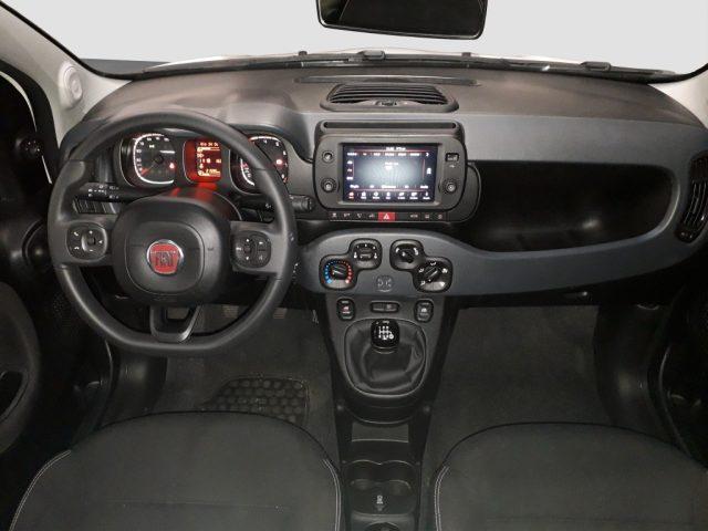 FIAT Panda Cross 1.0 FIREFLY S&S HYBRID 70 CV - CROSS