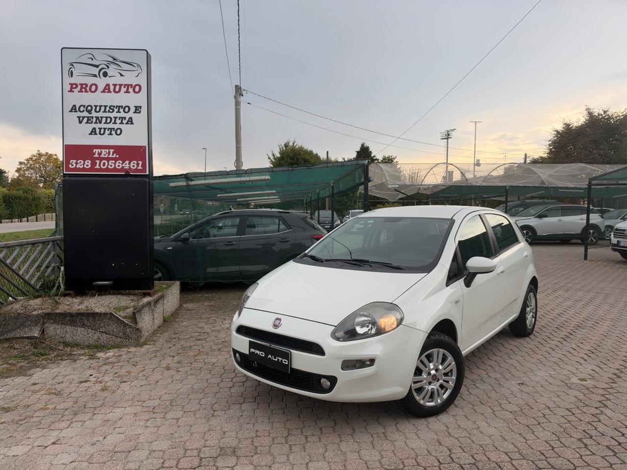 Fiat Punto Evo 1.4 5 porte Active Natural Power