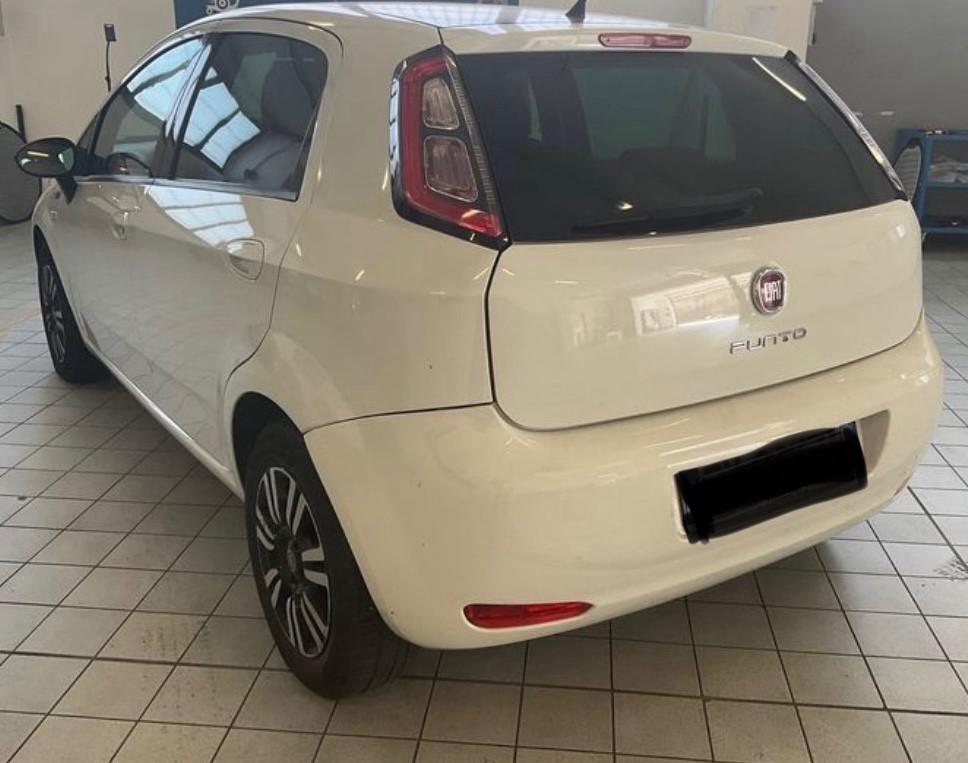 Fiat Punto 1.2 8V 5 porte Young-in arrivo-