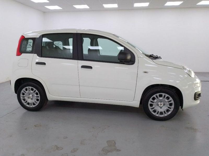 FIAT Pandina 1.0 firefly hybrid Icon s e s 70cv 5p.ti