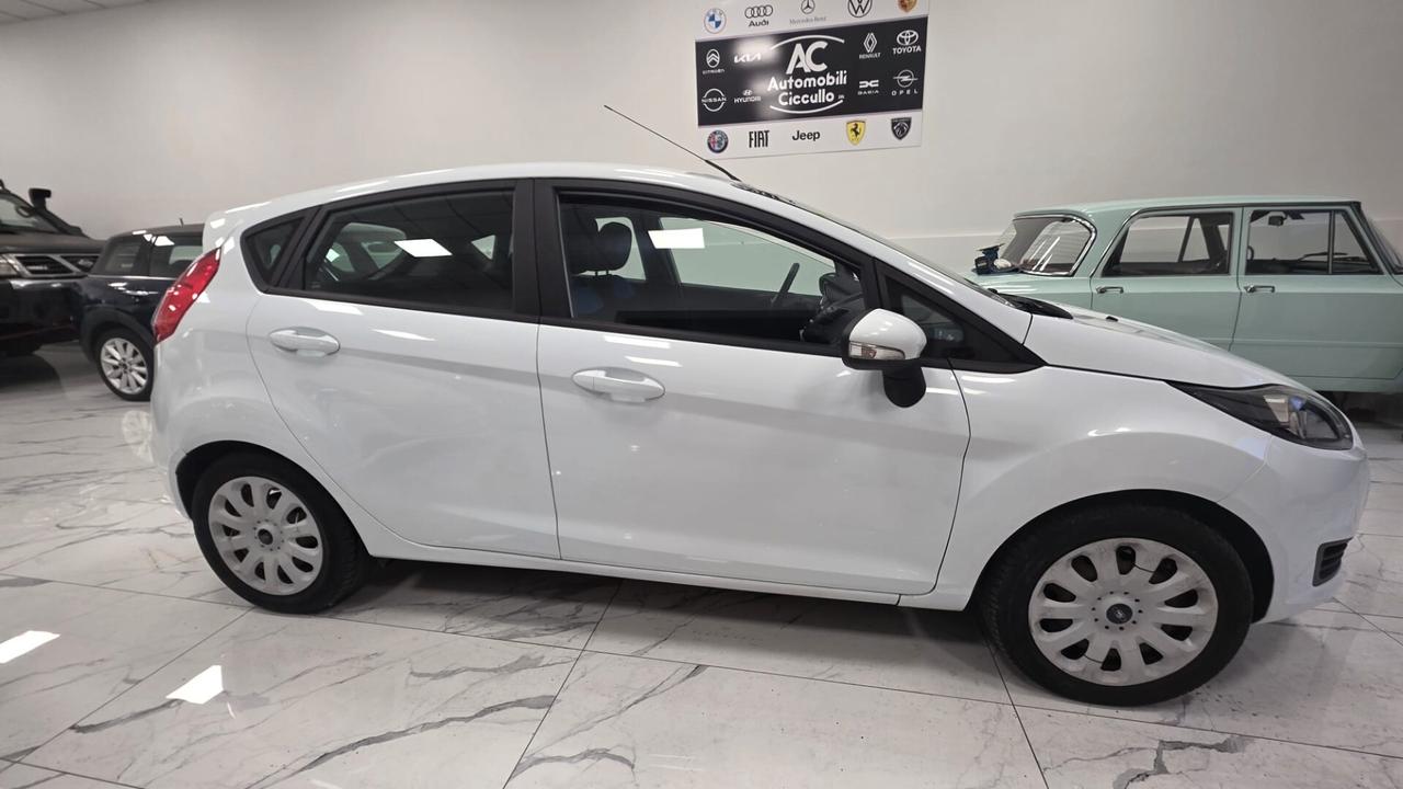 Ford Fiesta 1.2 60CV 5 porte Business