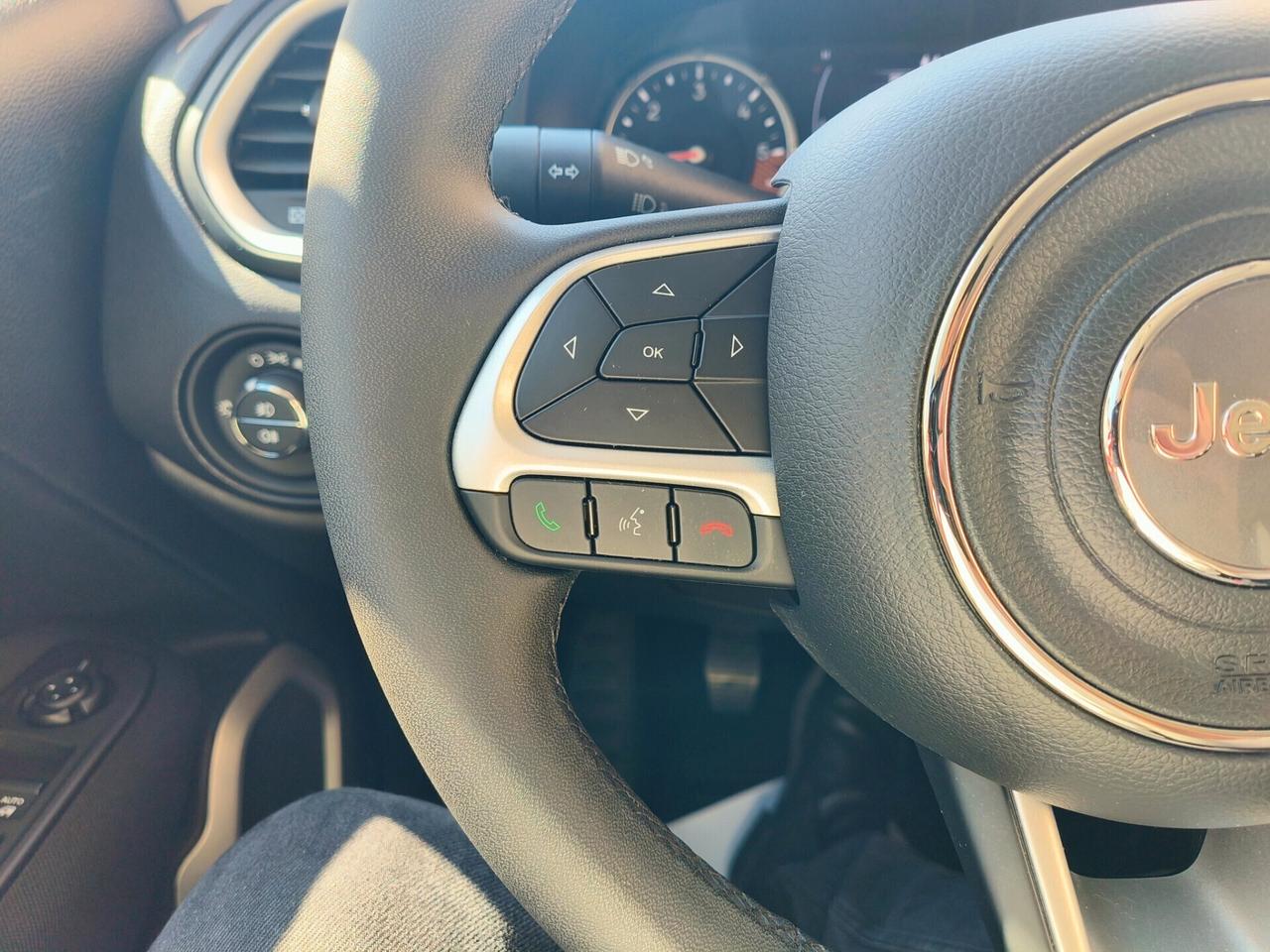Jeep Renegade 1.6 Mjt 120 CV Longitude