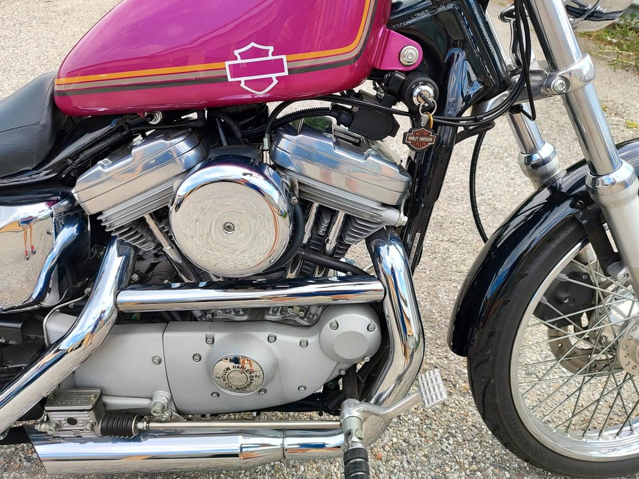 Harley-davidson 883C Sportster Custom XL XL 883 C