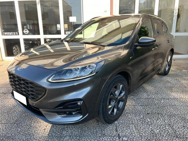 FORD Kuga 1.5 EcoBlue 120 CV 2WD ST-Line