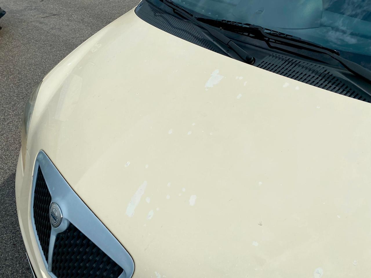 Lancia Ypsilon 1.2 8v Oro Giallo 60cv UNICO PROPRIETARIO