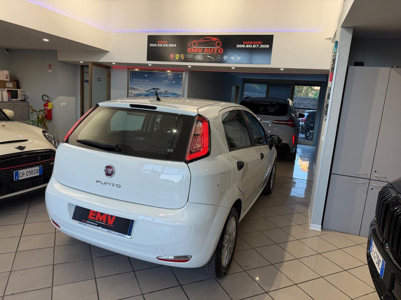 Fiat Punto 1.3 MJT II 75 CV 5 porte Street ok neopatentati